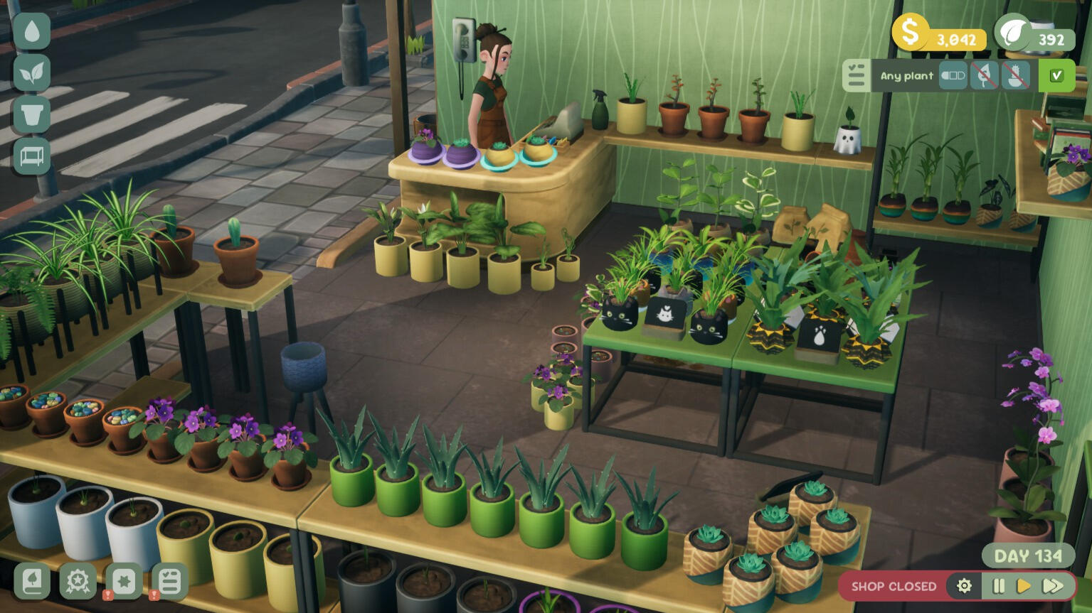 Leafy Corner Review – The Plant Shop I Did Not Want to Leave